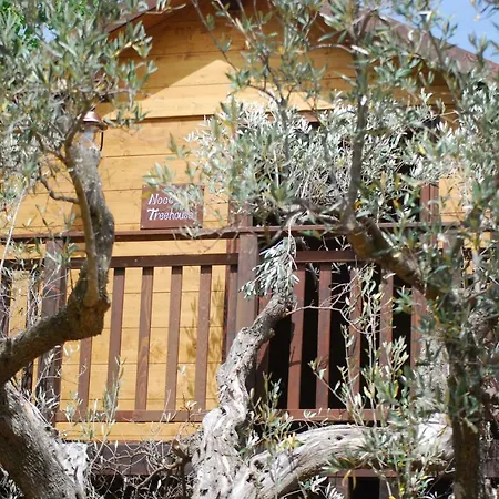 Bed & Breakfast Palazzo Conforti Tree House Marano Marchesato