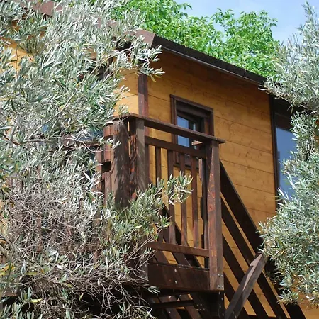 Palazzo Conforti Tree House Marano Marchesato