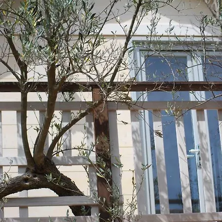 Bed & Breakfast Palazzo Conforti Tree House *