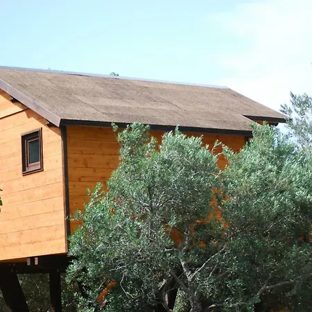 Palazzo Conforti Tree House 3*