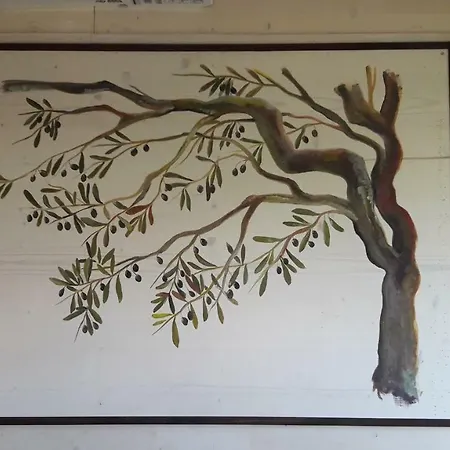 Oda ve Kahvaltı Palazzo Conforti Tree House Marano Marchesato