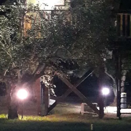 Palazzo Conforti Tree House Bed & Breakfast *