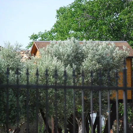 Palazzo Conforti Tree House Bed and Breakfast Marano Marchesato