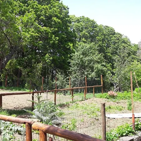 Palazzo Conforti Tree House Marano Marchesato