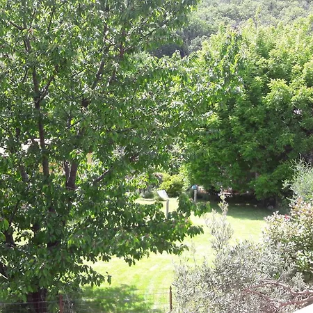 Bed & Breakfast Palazzo Conforti Tree House