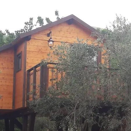 Bed & Breakfast Palazzo Conforti Tree House