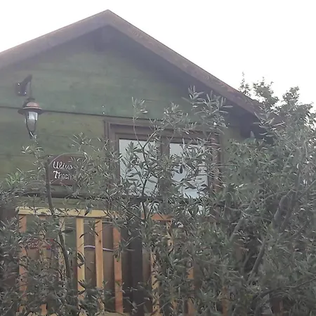 Palazzo Conforti Tree House *