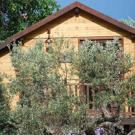 Palazzo Conforti Tree House Marano Marchesato