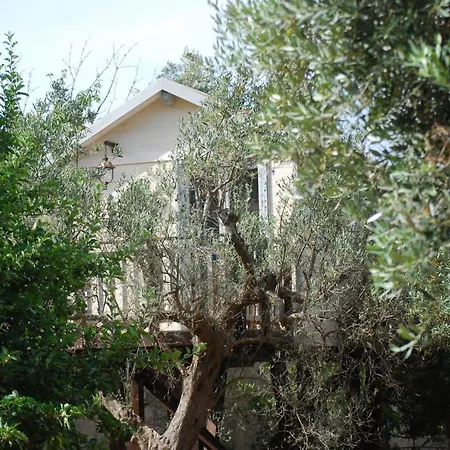 Bed and Breakfast Palazzo Conforti Tree House Marano Marchesato