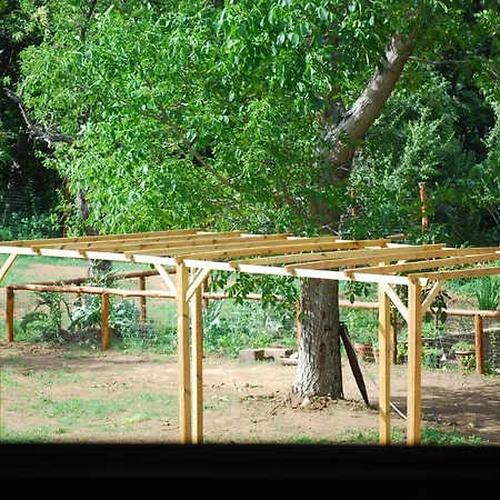 Palazzo Conforti Tree House Marano Marchesato