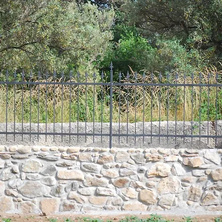 Palazzo Conforti Tree House Bed & Breakfast *