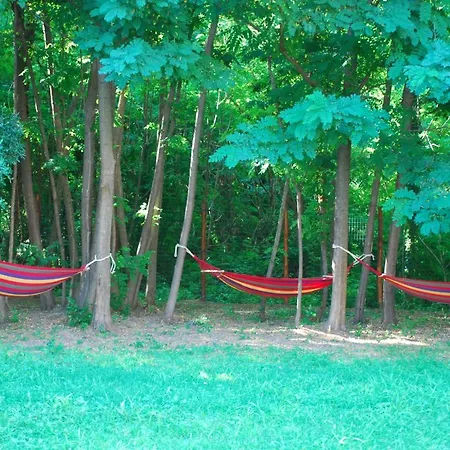 Bed & Breakfast Palazzo Conforti Tree House