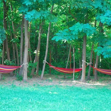 B&B Palazzo Conforti Tree House