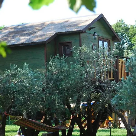 Palazzo Conforti Tree House Bed & Breakfast *