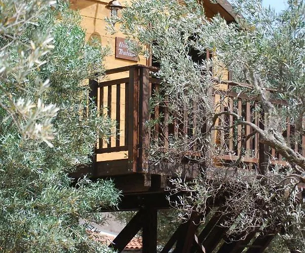 Alojamento de Acomodação e Pequeno-almoço Palazzo Conforti Tree House