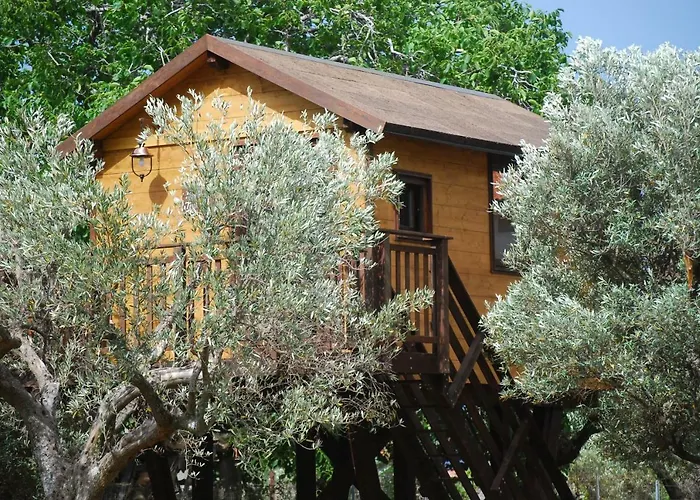 Alojamento de Acomodação e Pequeno-almoço Palazzo Conforti Tree House Marano Marchesato