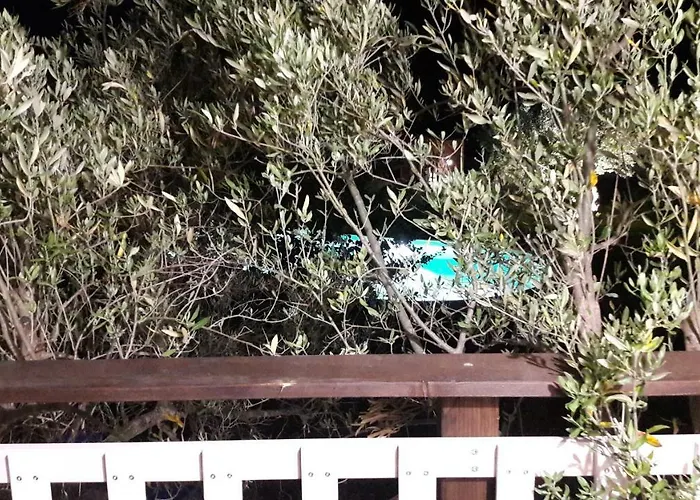 Palazzo Conforti Tree House 3*