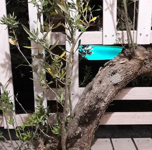 Palazzo Conforti Tree House Alojamento de Acomodação e Pequeno-almoço