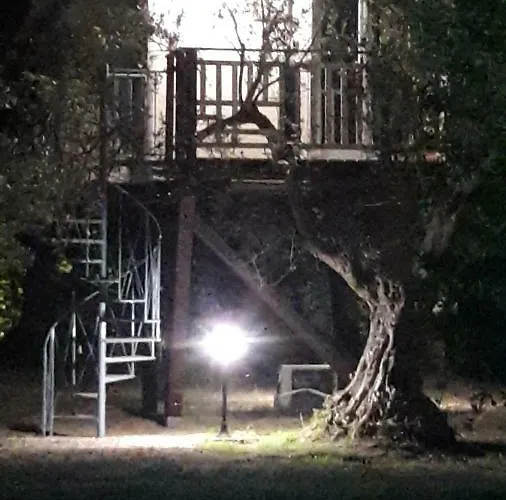 Alojamento de Acomodação e Pequeno-almoço Palazzo Conforti Tree House 3*