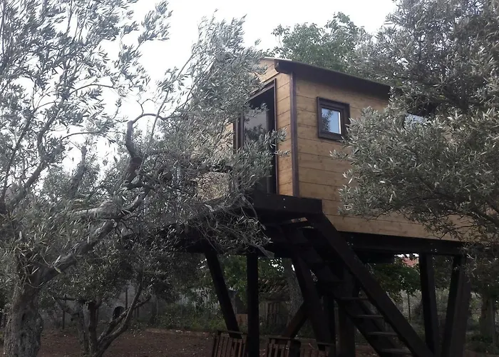 Alojamento de Acomodação e Pequeno-almoço Palazzo Conforti Tree House