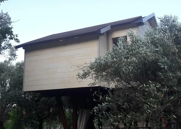 Palazzo Conforti Tree House 3* Marano Marchesato