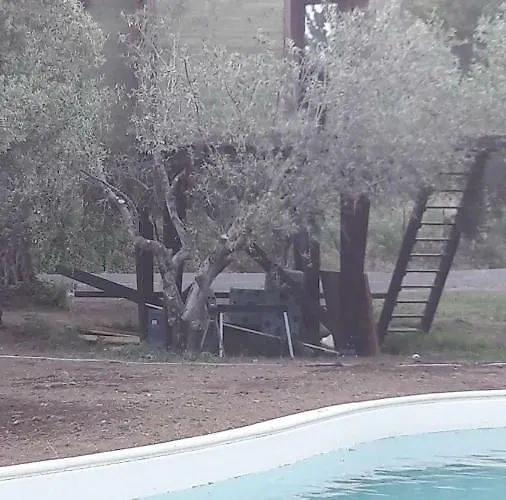 Palazzo Conforti Tree House Alojamento de Acomodação e Pequeno-almoço 3*