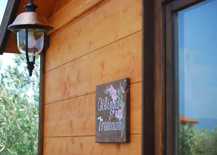 Palazzo Conforti Tree House Alojamento de Acomodação e Pequeno-almoço Marano Marchesato