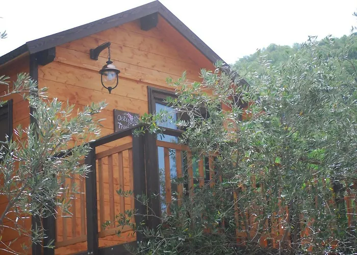 Palazzo Conforti Tree House 3*