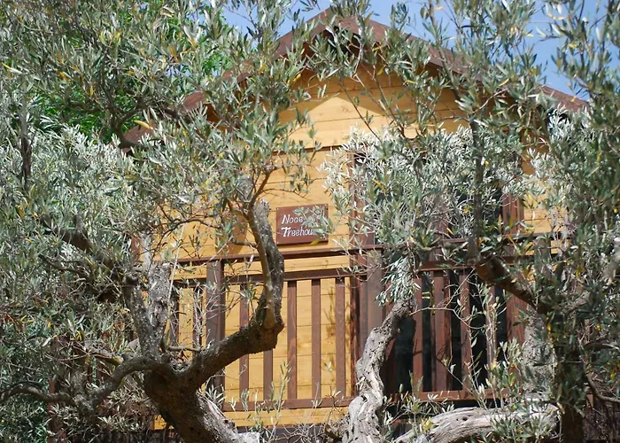 Palazzo Conforti Tree House Alojamento de Acomodação e Pequeno-almoço 3*