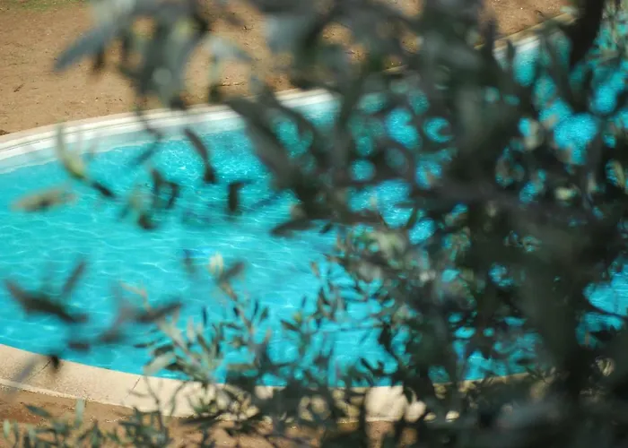 Alojamento de Acomodação e Pequeno-almoço Palazzo Conforti Tree House Marano Marchesato