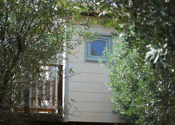 Palazzo Conforti Tree House Alojamento de Acomodação e Pequeno-almoço