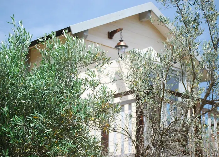 Alojamento de Acomodação e Pequeno-almoço Palazzo Conforti Tree House 3*