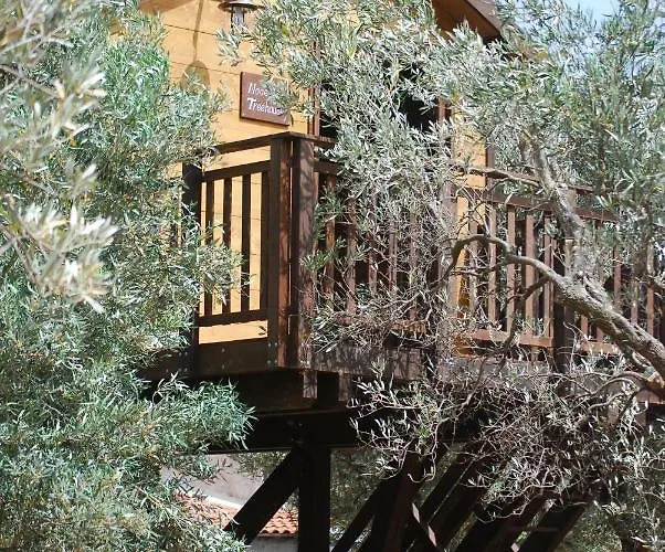 Palazzo Conforti Tree House 3*
