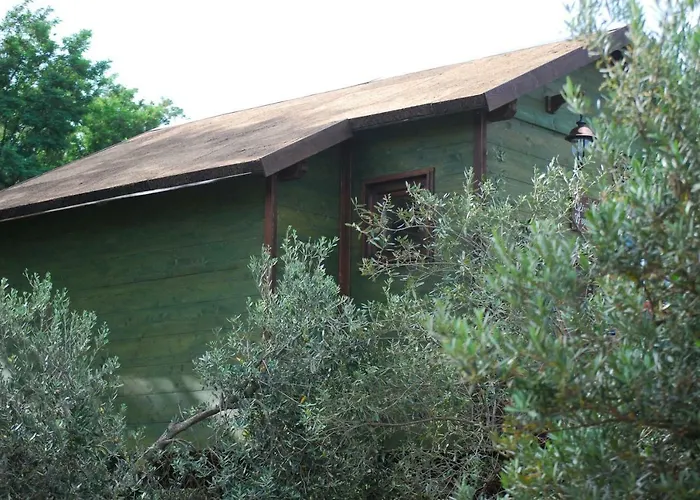 Alojamento de Acomodação e Pequeno-almoço Palazzo Conforti Tree House Marano Marchesato