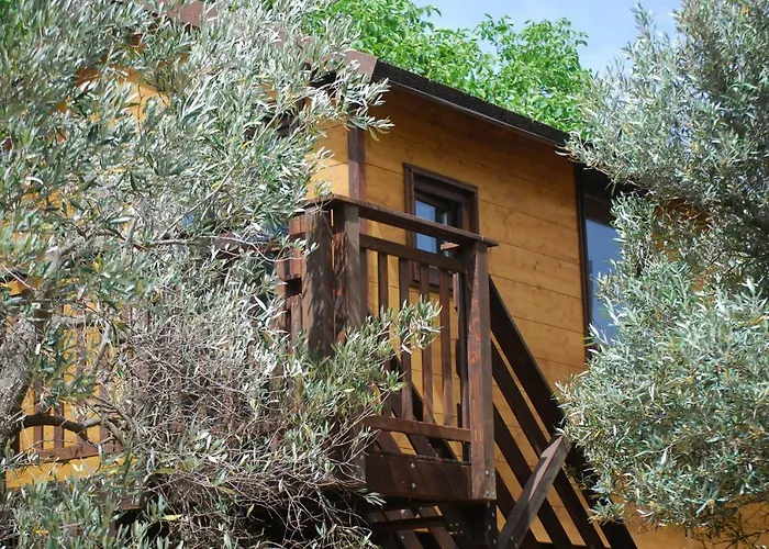 Palazzo Conforti Tree House Marano Marchesato