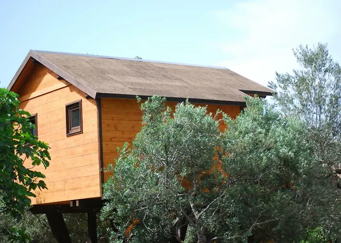 Palazzo Conforti Tree House 3*