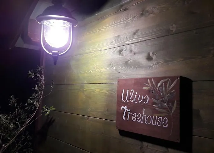 Palazzo Conforti Tree House 3* Marano Marchesato