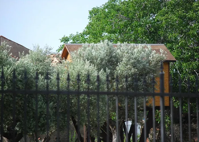 Palazzo Conforti Tree House Alojamento de Acomodação e Pequeno-almoço Marano Marchesato
