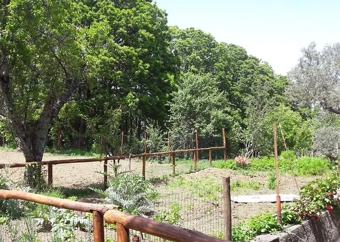 Palazzo Conforti Tree House Marano Marchesato