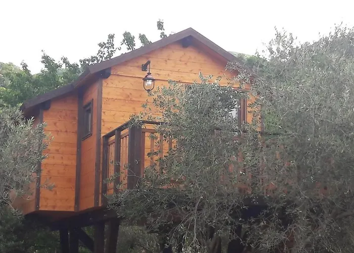 Alojamento de Acomodação e Pequeno-almoço Palazzo Conforti Tree House