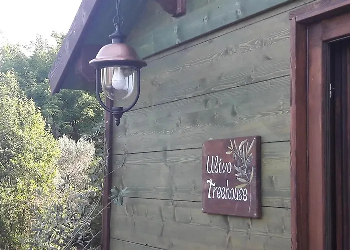 Palazzo Conforti Tree House Marano Marchesato