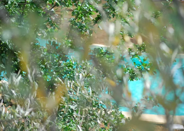 Palazzo Conforti Tree House Alojamento de Acomodação e Pequeno-almoço 3*