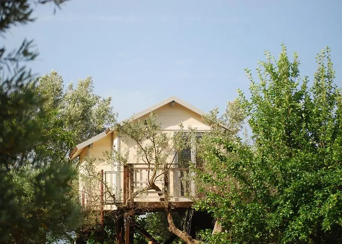 Palazzo Conforti Tree House Alojamento de Acomodação e Pequeno-almoço Marano Marchesato