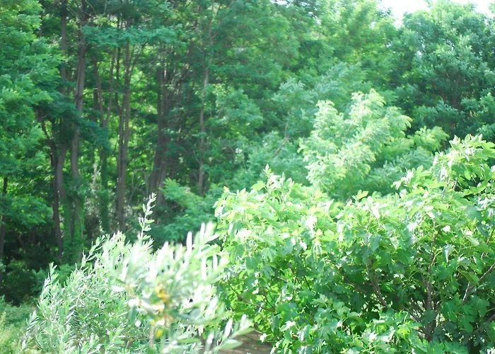 Palazzo Conforti Tree House Alojamento de Acomodação e Pequeno-almoço