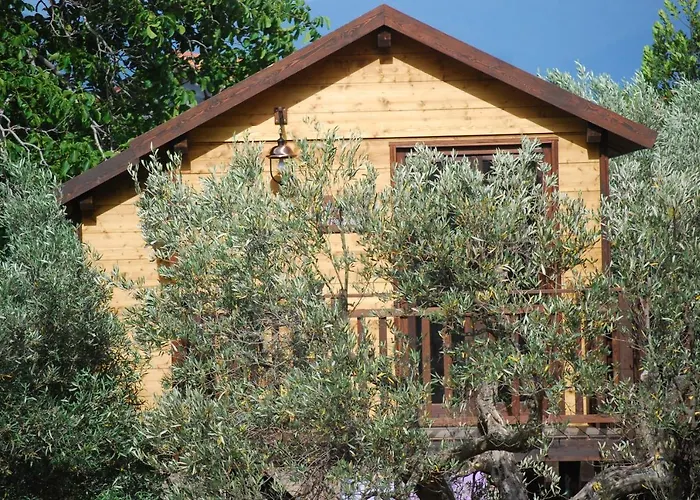 Palazzo Conforti Tree House Marano Marchesato