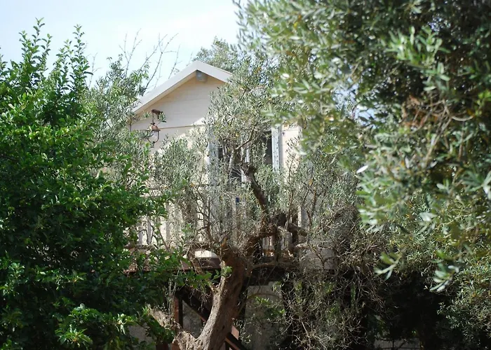 Alojamento de Acomodação e Pequeno-almoço Palazzo Conforti Tree House Marano Marchesato