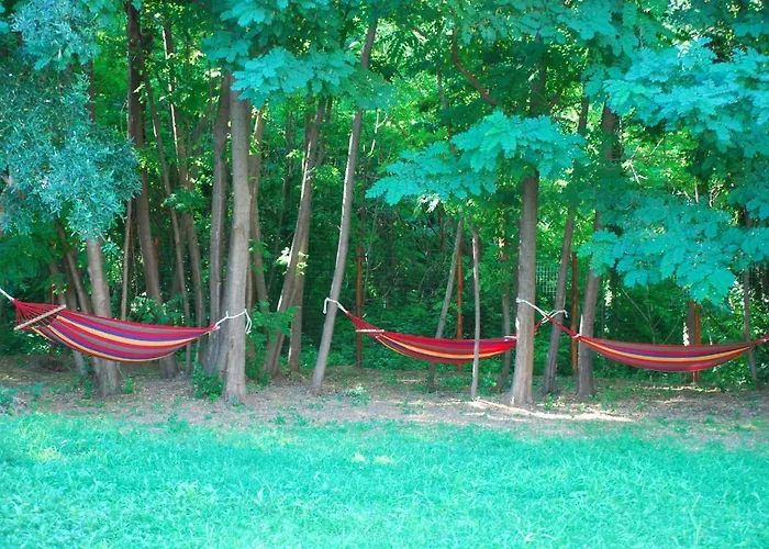 Alojamento de Acomodação e Pequeno-almoço Palazzo Conforti Tree House