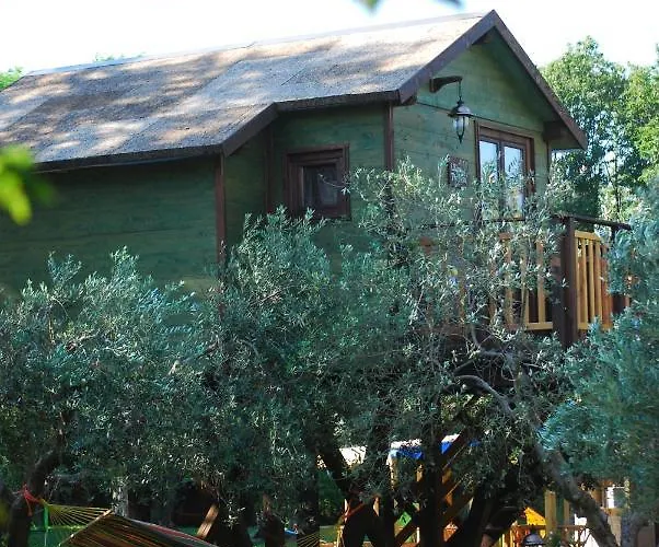 Palazzo Conforti Tree House Alojamento de Acomodação e Pequeno-almoço 3*